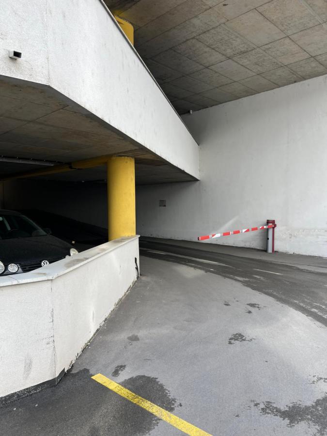 Apartman Didi2- Free Private Parking-Garage Novi Sad Exterior foto